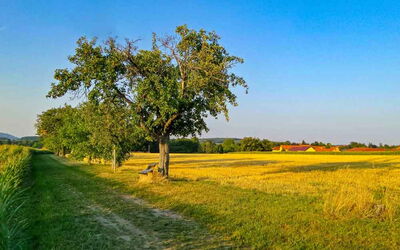 Vergebung und Selbstvergebung – Heilpraktiker für Psychotherapie Reiner Müller