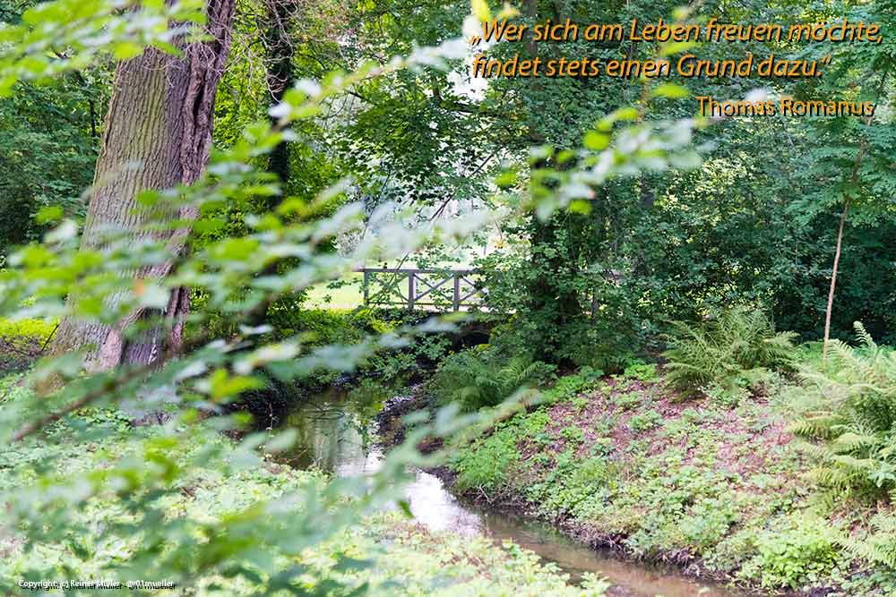 Auf dem Bild ist ein kleiner Bach mit einer Brücke zu sehen. Foto Copyright: Reiner Müller - @r01mueller