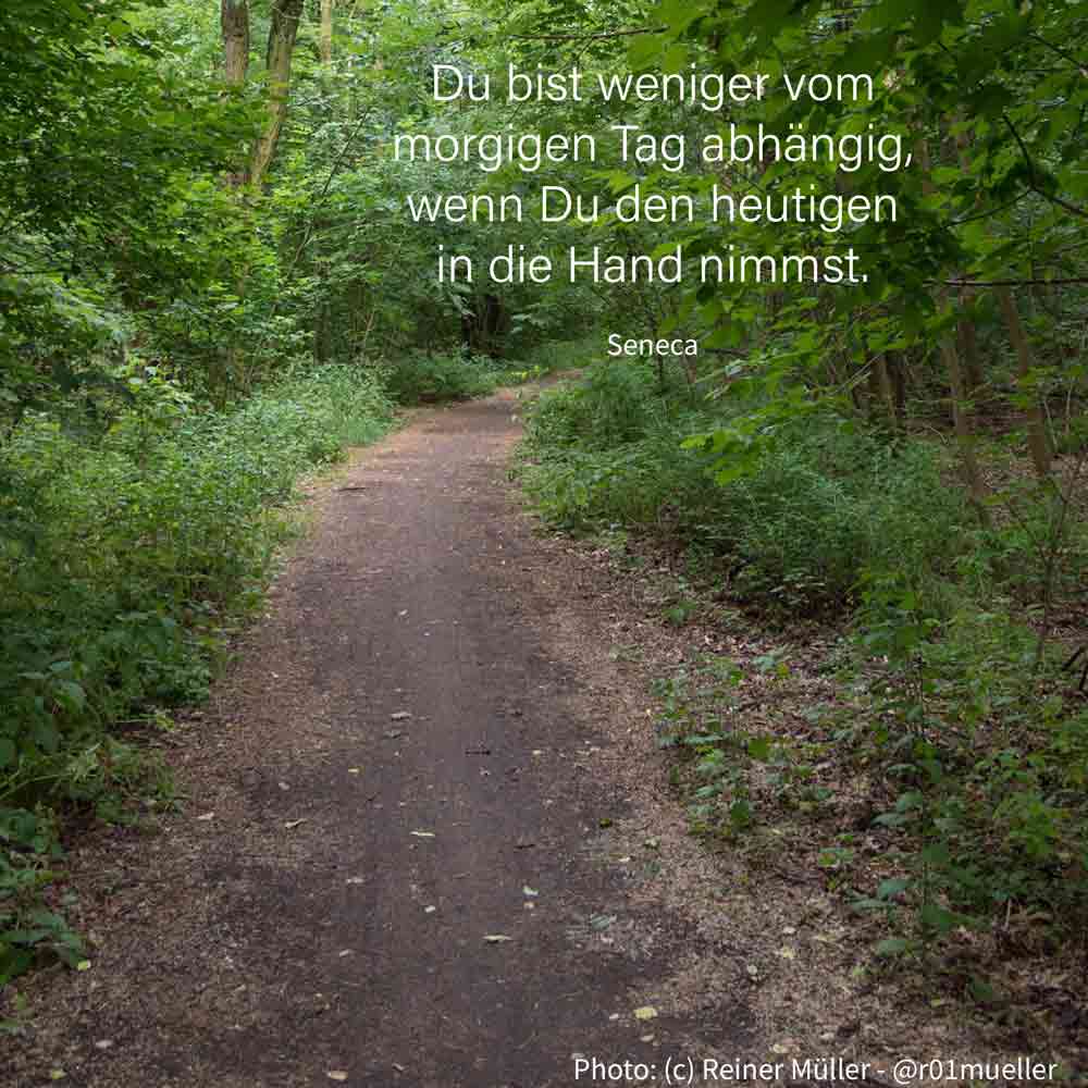 Ein Waldweg, der links und rechts von grünen Sträuchern und Bäumen begrenzt wird, führt den Blick vom Betrachter nach hinten, in die Zukunft, und biegt dann ab.