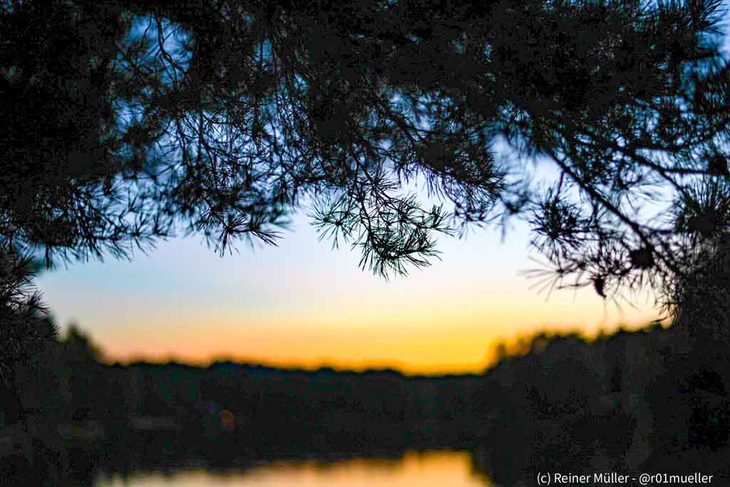 Ein romatischer Sonnenuntergang an einem See. Im Vordergrund hängen ein paar Zweige herunter.